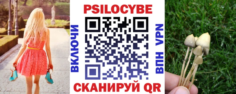 Галлюциногенные грибы MAGIC MUSHROOMS  OMG вход  Чапаевск 